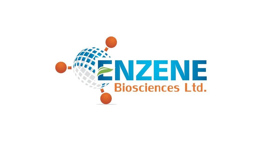 Enzene logo.